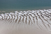  mudflats, Wadden Sea National Park, Schleswig-Holstein, Germany 