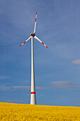  Wind turbine in a blooming rapeseed field, Mecklenburg-Vorpommern, Germany 