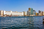  Dubai, Creek with the typical boats 