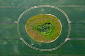 Luftbild einer Treckerspur im Getreidefeld mit grüner Insel, Frühjahr, Schleswig-Holstein, Deutschland