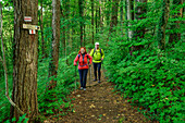 Mann und Frau beim Wandern durch Wald am Frankenweg, Muggendorf, Fränkische Schweiz, Franken, Bayern, Deutschland