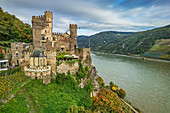  Rheinstein Castle with the Rhine in the background, Assmannshausen, Rheinsteig, UNESCO World Heritage Upper Middle Rhine Valley, Upper Middle Rhine Valley Cultural Landscape, Rhineland-Palatinate, Germany 
