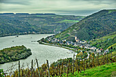 Blick auf Rhein und Lorch, Rheinsteig, UNESCO-Welterbe Oberes Mittelrheintal, Kulturlandschaft Oberes Mittelrheintal, Hessen, Deutschland