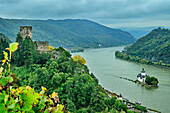 Blick auf Burg Gutenfels über Kaub und Burg Pfalzgrafenstein im Rhein, Rheinsteig, UNESCO-Welterbe Oberes Mittelrheintal, Kulturlandschaft Oberes Mittelrheintal, Rheinland-Pfalz, Deutschland