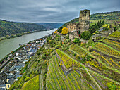 Burg Gutenfels über Kaub mit Rhein im Hintergrund, Rheinsteig, UNESCO-Welterbe Oberes Mittelrheintal, Kulturlandschaft Oberes Mittelrheintal, Rheinland-Pfalz, Deutschland