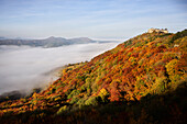  Hohenneuffen Castle rises out of the sea of fog, Neuffen, Esslingen district, Swabian Alb, Baden-Württemberg, Germany, Europe 