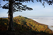  Hohenneuffen Castle rises out of the sea of fog, Neuffen, Esslingen district, Swabian Alb, Baden-Württemberg, Germany, Europe 