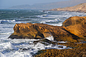 Cliffs around Tamri on Atlantic Coast, between Agadir and Essaouira,Morocco,North Africa
