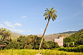 Palm grove Targa N'touchka,Chtouka Ait Baha province,Anti-Atlas,Morocco,North Africa