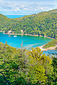 Bark Bay, high angle view, Abel Tasman National Park, Nelson Region, South Island, New Zealand 