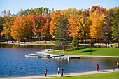  Kanada, Quebec, Montreal, Mount Royal Park, Beaver Lake, Herbstlaub 