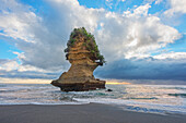 Rock formation shaped like a boot, Punakaiki, Paparoa National Park, South Island, New Zealand