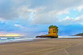 Rock formation shaped like a boot, Punakaiki, Paparoa National Park, South Island, New Zealand