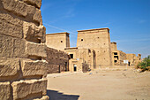 Ancient Egyptian temple of Karnak in Luxor Egypt