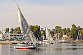 View of the River Nile in Aswan with Felucca boats