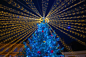 Altstädter Ring mit Weihnachtsbaum und Lichterketten bei Nacht, Stadt Neuchâtel (Neuenburg), Kanton Neuchatel (Neuenburg), Schweiz.
