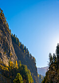 Beautiful Mountain Valley in the Swiss Alps with Tree in a Sunny Autumn Day with Blue Clear Sky in Via Mala, Thusis, Grisons, Switzerland