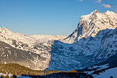 Beautiful Panoramic View over Snowcapped Mountain Range and Peak Wetterhorn 3692 Meters High and Village in Valley in the Swiss Alps in a Sunny Winter Day in Bernese Oberland, Grindelwald, Canton Bern, Switzerland.