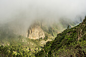 Misty view from Mirador del Morro de Agando, Garajonay National Park, La Gomera, Canary Islands, Europe.