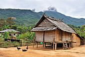Typical house in the village of Ban Pha Yong, where live people from both Khmu and Hmong minority ethnics groups,  in mountain massif near Nong Khiaw, Luang Prabang Province, Laos, Southeast Asia