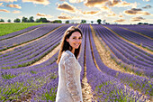 Young girl 30-35 years old, Cultivation of Lavender, Lavender in bloom, Valensole, Alpes-de-Haute-Provence, Provence-Alpes-Côte d'Azur, France, Europe