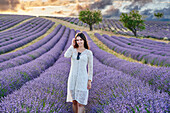 Young girl 30-35 years old, Cultivation of Lavender, Lavender in bloom, Valensole, Alpes-de-Haute-Provence, Provence-Alpes-Côte d'Azur, France, Europe