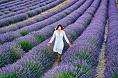 Young girl 30-35 years old, Cultivation of Lavender, Lavender in bloom, Valensole, Alpes-de-Haute-Provence, Provence-Alpes-Côte d'Azur, France, Europe
