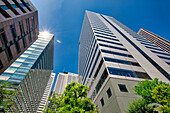 Buildings, Shinjuku district, Tokyo, Japan