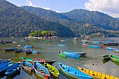 Nepal, Pokhara, Phewa Tal, Phewa Lake, boats, 