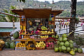  Tropical fruit juice stand on the roadside along the upper Mekong River, Luang Prabang, Luang Prabang District, Luang Prabang, Laos, Asia 