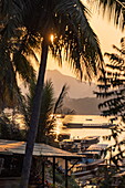  Silhouette of coconut palms, bar, and tour boats on the Upper Mekong at sunset, Luang Prabang, Luang Prabang District, Luang Prabang, Laos, Asia 