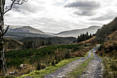  Forest road in Wild Nephin National Park, County Mayo, Ireland 