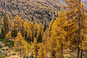  Autumn mood in Valle Giudicarie, Trentino Province, Italy 