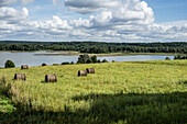  Landscape in Masuria near Węgorzewo, Warmia-Masuria, Poland 