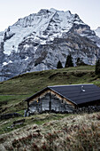  Alpine hut near Mürren, with the Jungfrau behind it, Mürren, Bernese Oberland, Switzerland 