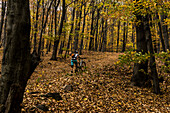  Autumn mountain bike tour in Mecsek, Pecs, Hungary 