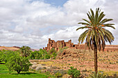 Ksar of Tamedakhte, Ounila River valley, Ouarzazate Province, region of Draa-Tafilalet, Morocco, North West Africa