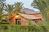 Eco-lodge Hara Oasis on the banks of the River Draa in the large palm grove in Agdz at the foot of Djebel Kissane, Mount Kissane (Jbel Kissane), Draa-Tafilet region, Morocco, North West Africa