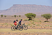 Mountain bikers with electric assistance on a trail through the reg, from Agdz to Zagora, Draa River valley, Province of Zagora, Region Draa-Tafilalet, Morocco, North West Africa