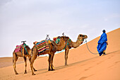 Man offering camel ride at the foot of the sand dunes at Tinfou, near Tamegroute, Draa River valley, Province of Zagora, Region Draa-Tafilalet, Morocco, North West Africa