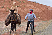 Encounter between an old man riding a mule and a cyclist with mountain pedelec on the road connecting Tizi n'Tichka pass to Telouet village, Ouarzazate Province, region of Draa-Tafilalet, Morocco, North West Africa