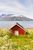 Boathouse by the Ullsfjorden.Lyngen Alps,region of Lyngen,County of Troms,Norway,Northern Europe