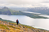 Wanderer mit Blick über den Fjord Bergsfjorden vom Berg Husfjellet, Insel Senja, Grafschaft Troms, Norwegen, Nordeuropa
