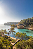  Cala del Mago, Portals Vells, Calvia, Mallorca, Balearic Islands, Spain 