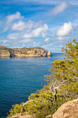 Blick von Mirador de s`amor Sant Elm zum Far de Tramuntana auf Sa Dragonera, Sant Elm, Mallorca, Balearen, Spanien