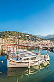  Traditional Mallorcan boats in the harbor of Port de Soller, Mallorca, Balearic Islands, Spain 