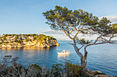  Yacht at the entrance to Cala Portals Vells, Mallorca, Balearic Islands, Spain 
