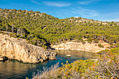 Blick auf die Calo d`en Monjo, Cala Fornells, Mallorca, Balearen, Spanien