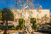  Garden of Finca Publica Galatzo, Mallorca, Balearic Islands, Spain 