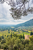 Blick vom Aussichtspavillon des Landguts Raixa in die Ebene, Bunyola, Mallorca, Balearen, Spanien